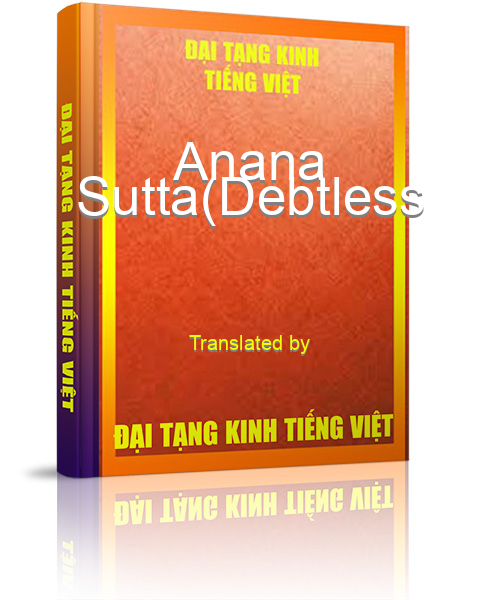 Đại Tạng Kinh Việt Nam